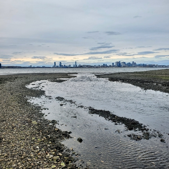 Meet your Posher, Chris - Picture 11 of 11